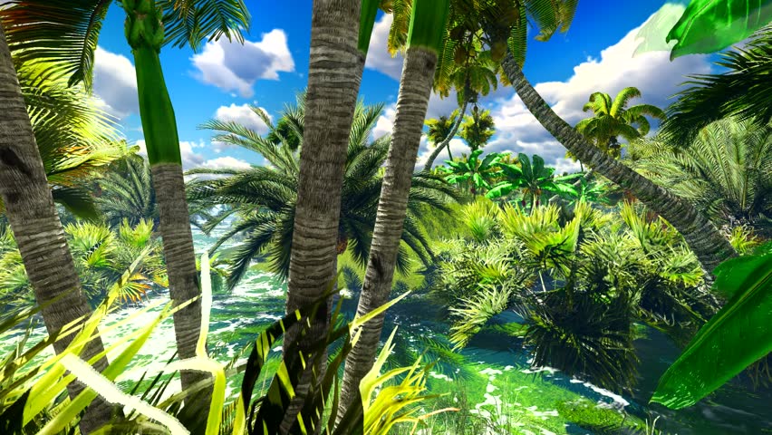 тропические джунгли индии. джунгли коричневый пейзаж. коста рика пляжи. сейшелы природа. лес дейнтри австралия.