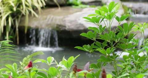 Water flowing on stones and nature waterfall as background with sound.
Selective focus to foreground plants.