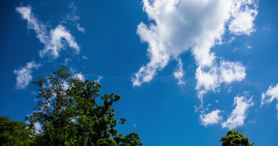 Time Lapse of Clouds forming over trees