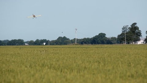 Crop duster in field in Mississippi Delta. Plane turns and starts second pass then swoops low and releases pesticide.