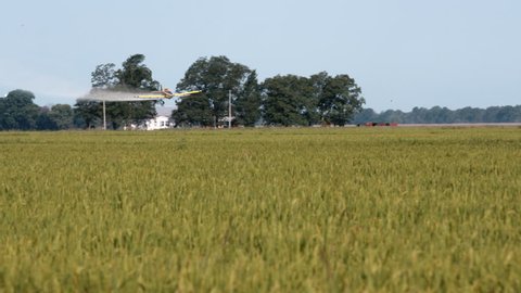Crop duster in field in Mississippi Delta. Plane swoops low and releases pesticide.Three shots- left to right, turn about and right to left.