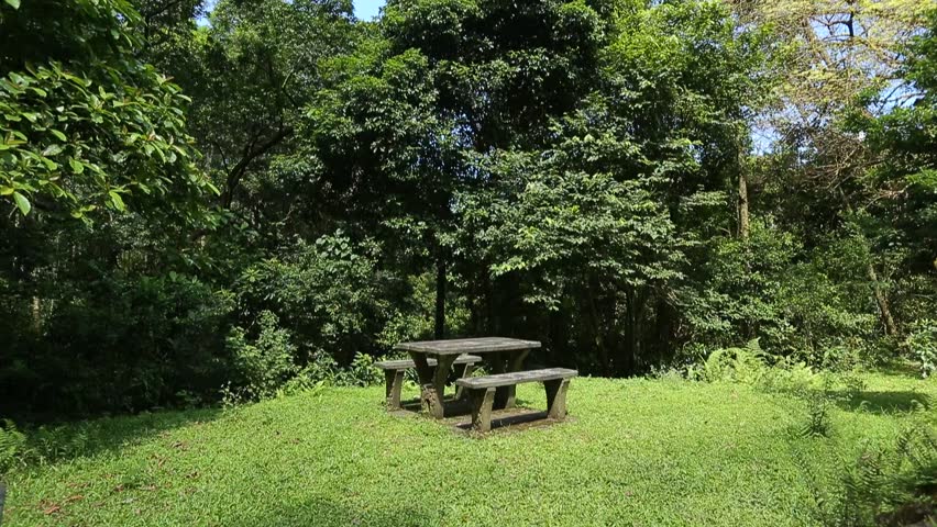 Picnic in forest