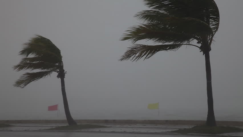 Blasting wind Footage | Stock Clips