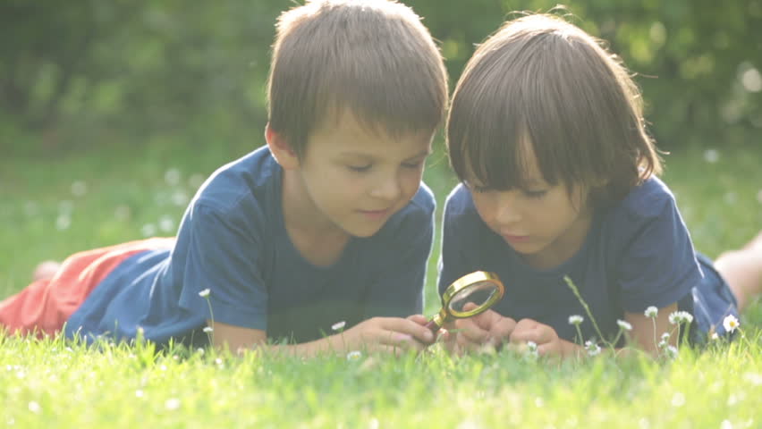 Beautiful happy children, boy brothers, exploring nature with magnifying glass, summertime