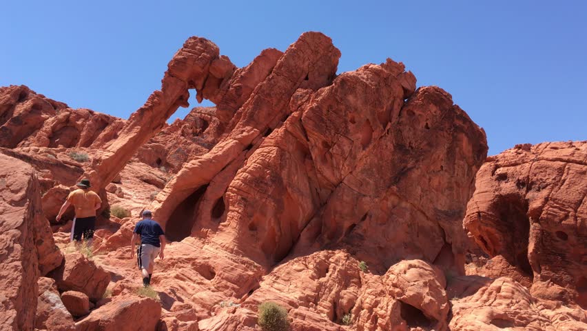 elephant rock, valley of fire state park, nevada
