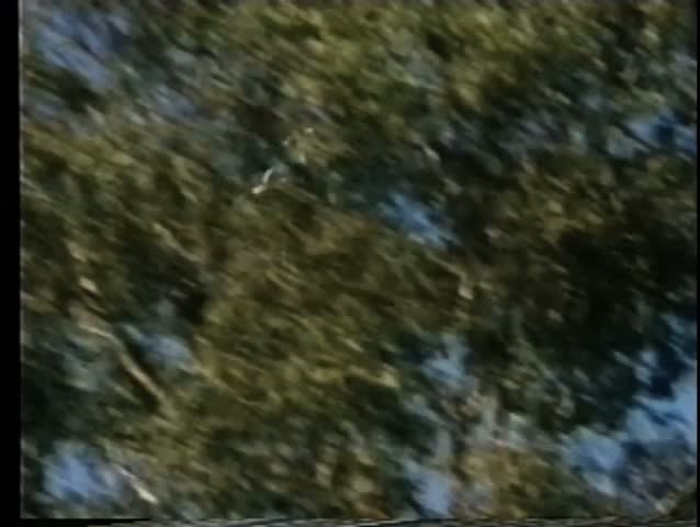 Spraying chemicals from helicopter to extinguish fire