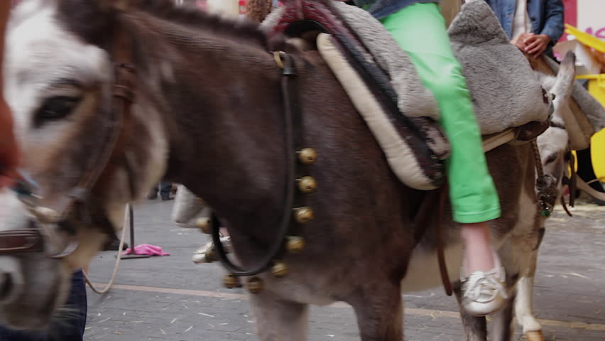 Medieval Fair attraction with children mounted on donkeys