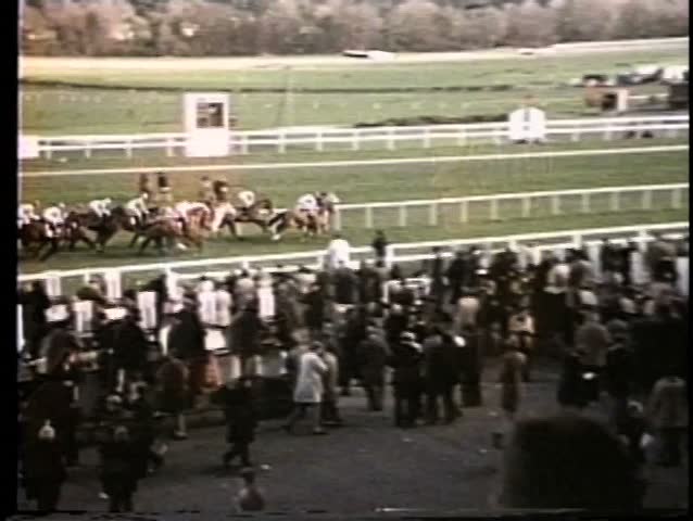 Crowd watching horse race