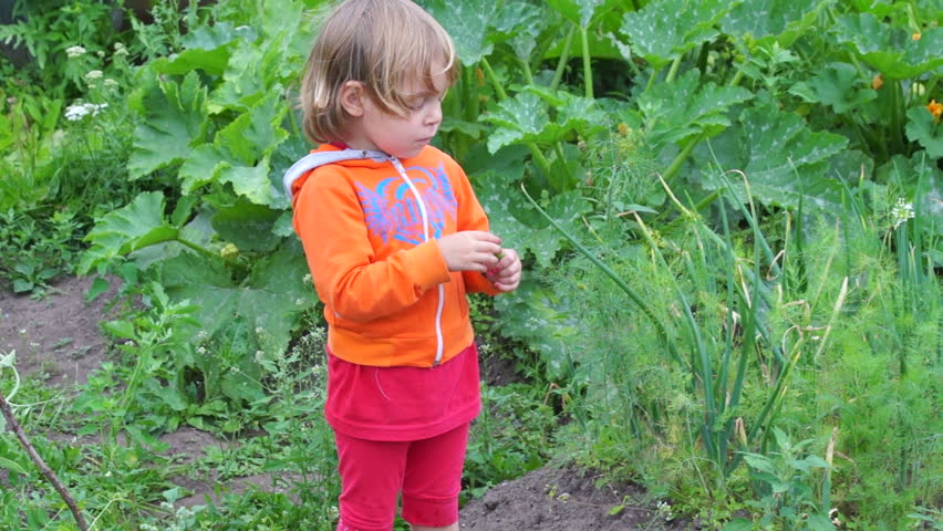 Little boy or girl eats in the kitchen garden.