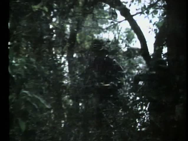 Soldiers firing at each other in woods