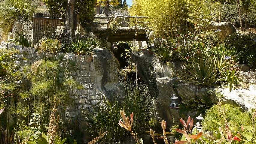 Tropical plants in the park at Monaco, Cote D
