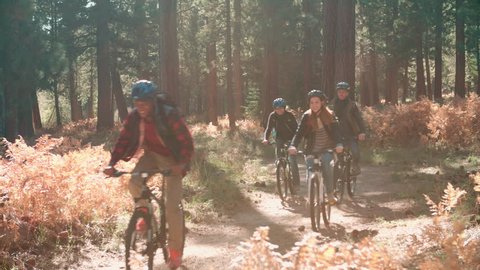 Four friends cycling past in a forest, backlit