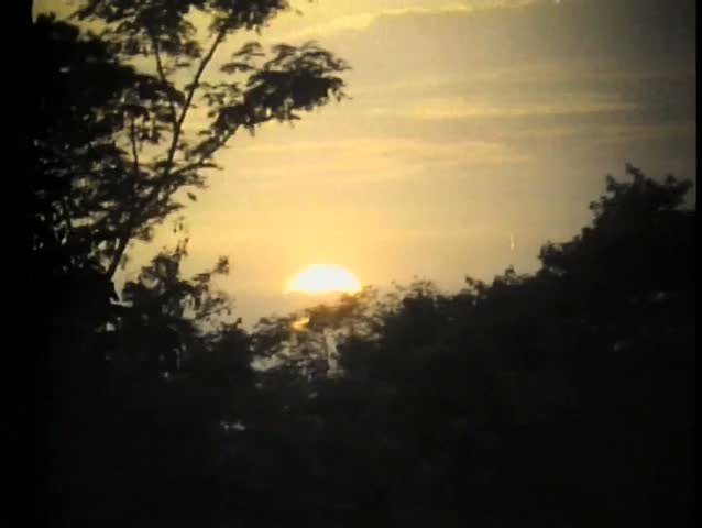 Sun setting behind trees