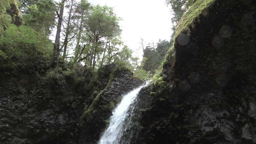 Camera tilt down on waterfall in Oregon forest near the Columbia River Gorge.