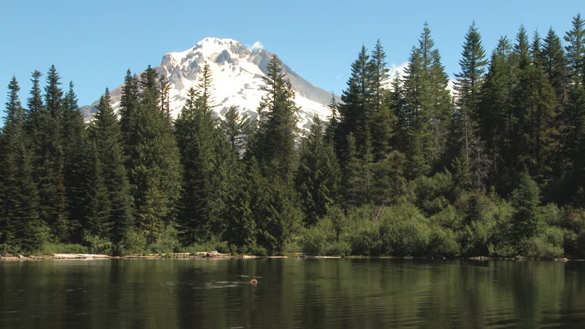 Unrecognizable person enjoys a refreshing summer swim at Mirror Lake in the Mt Hood National Forest.