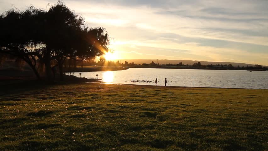 shoreline park