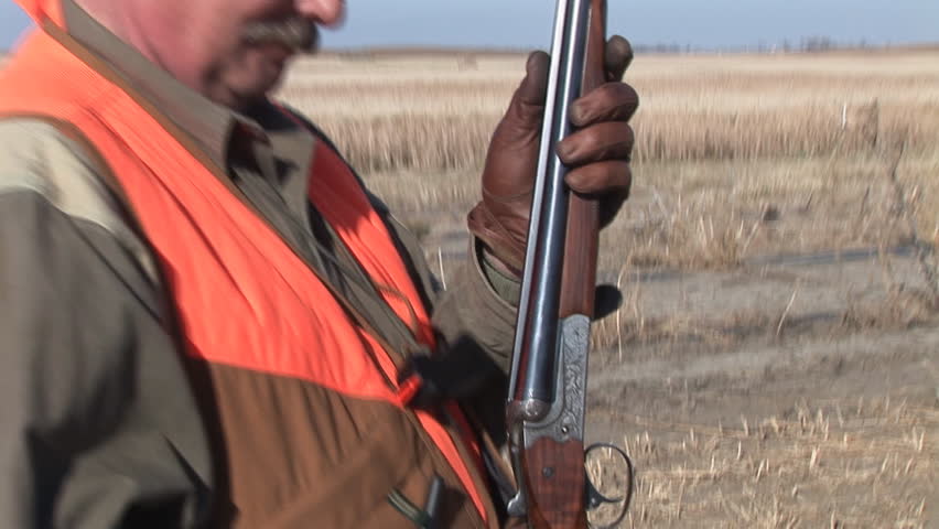 Pheasant hunters hunting in South Dakota