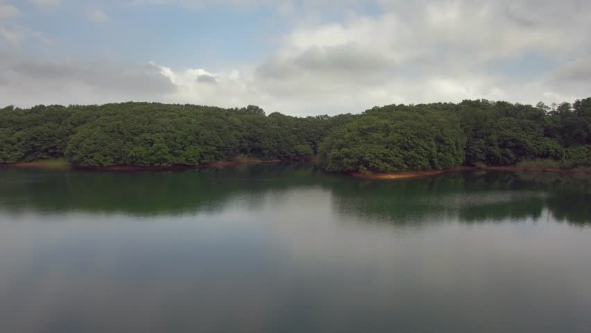 Aerial footage of fresh green in the morning at Sayama lake, Saitama Prefecture, Japan