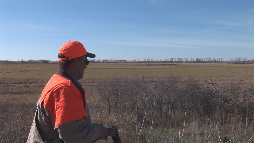 Pheasant hunter with shotgun