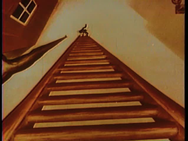 Cartoon of cat preparing to climb tall ladder