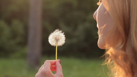 Girl blowing on dandelion in sunlight