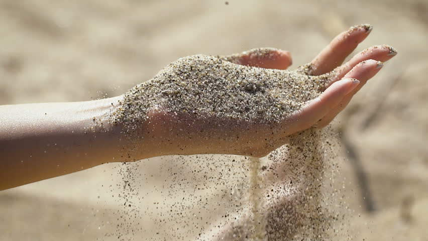 The Macro Snapshot of Hand Arkivvideomateriale (100 % royaltyfritt)  18343363 | Shutterstock