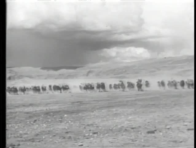 Wide angle view of Moroccan cavalry charging through desert