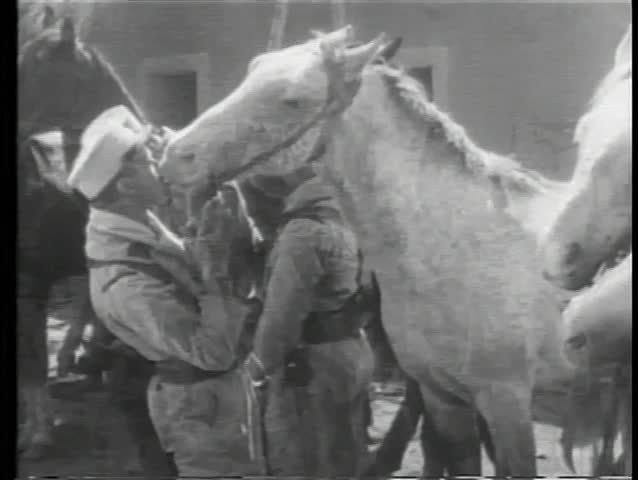 Soldiers petting horses