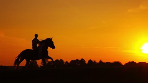 Horseman riding on hourse galloping on sunset in backlight, slowmotion.