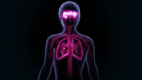 Back Butt Naked Women Black Background Stock Photo (Edit Now) 206455894