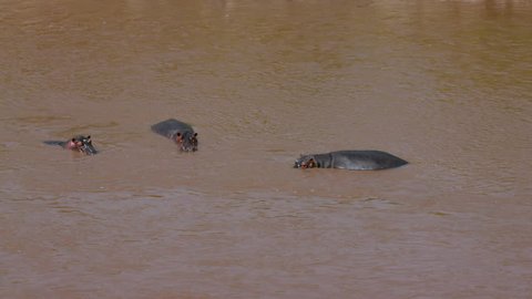 Mercury Ii Fulminate Or Hg Cno 2 Explodes の動画素材 ロイヤリティフリー Shutterstock