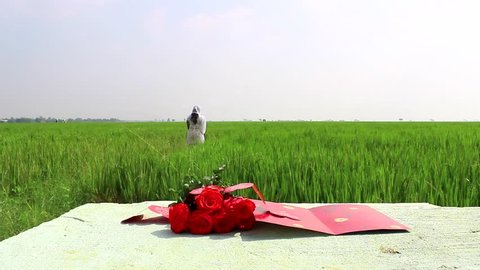 Red flowers on white tombstone in green paddy fields in India 