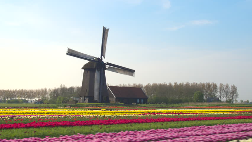 Shutterstock video thumbnail