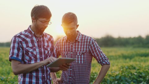 Two young farmer working in a field at sunset. enjoy tablet