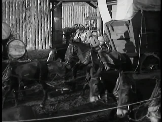 Caravan of covered wagons