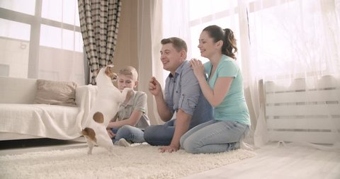 A young cheerful family of three to train your pet dog Jack Russell Terrier. Dolly shot. Slow motion. 4K.