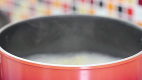 Close Up Steam In Boiling Pot.