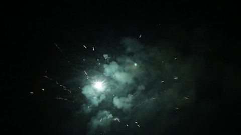 Colorful fireworks on the black sky of night 69
