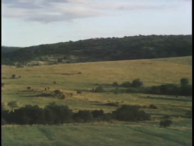 Pan view of valley