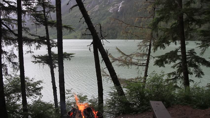 camping, rain forest