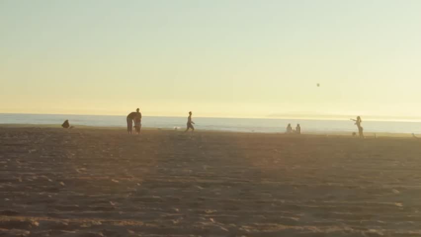 People Playing on the Beach