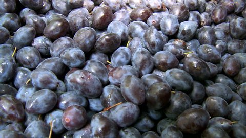 Ripe plums collected in barrels close up
