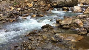 Mountain river flowing in Himalayas Nepal. Water falling through rocks. Nature travel background hd video.