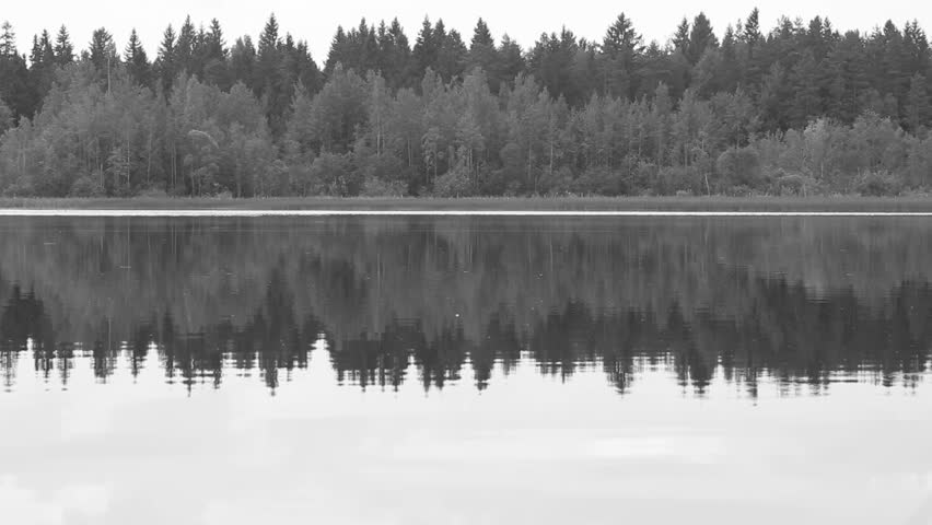 Black and white Forest reflection in the lake