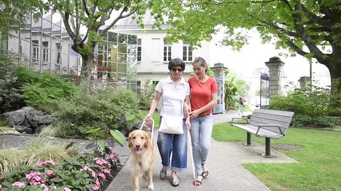 Senior blind woman walking with help of dog and carer
