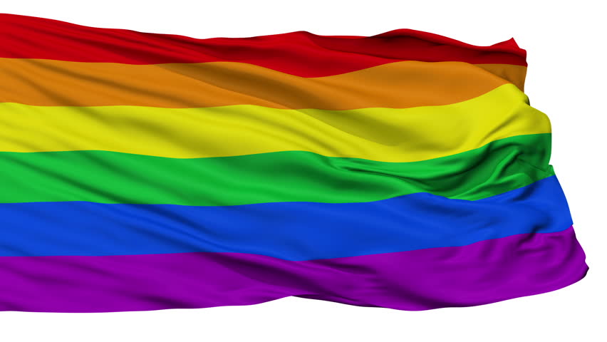 Digital image 11 x17 gay flag