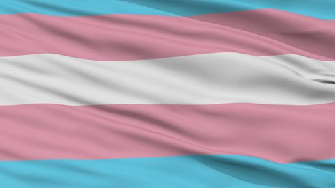 Transgender Pride Flag, Close Up Realistic 3D Animation, Seamless Loop - 10 Seconds Long