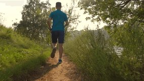 Steadicam video of athletic man running along forest path, back view, 4K