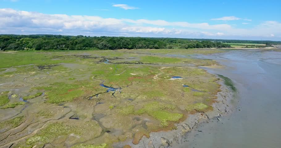 Aerial view of English marsh land with water channels and river on a woodland shore