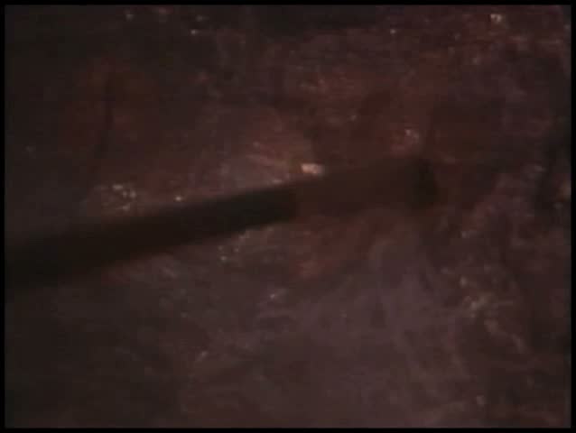 Miners working in gold mine